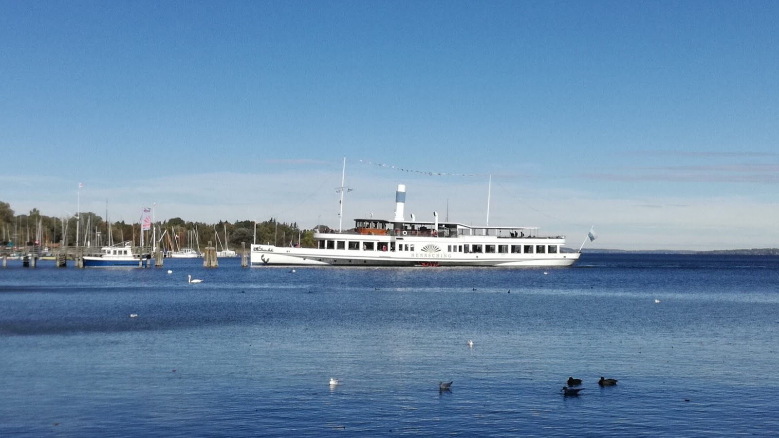 Neuigkeiten Vom Goggolori