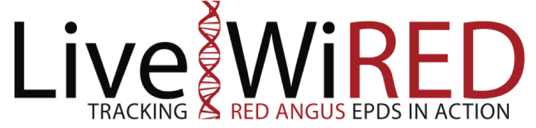 Live|WiRED Red Angus EPDs in Action