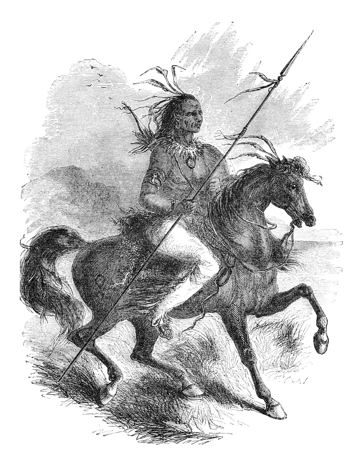 [Image: Comanche+warrior+on+horseback.jpg]