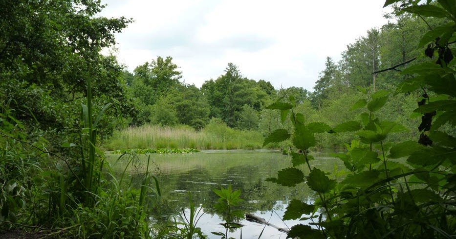 ALSTERWANDERWEG - Ausflugsziele in Hamburg