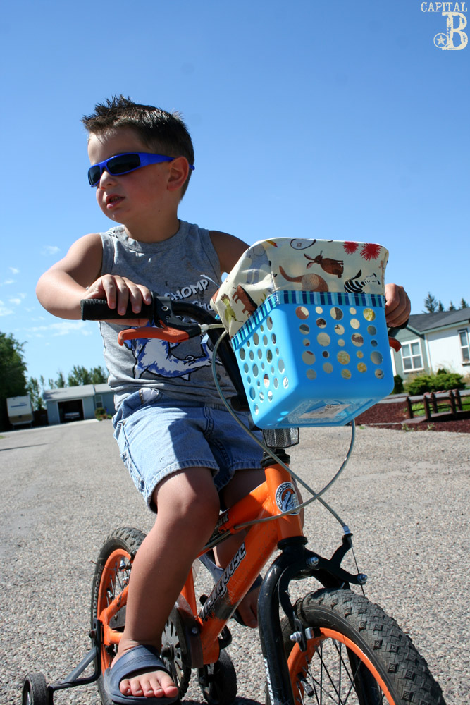 Capital B Quick Dollar Store Bike Baskets!