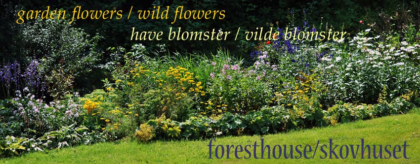 gardenflowers foresthouse