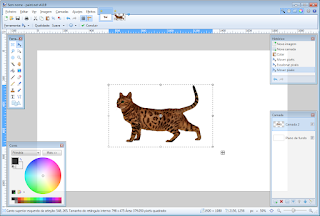 Ilusão 1 Ilusão 1 Paint.NET
