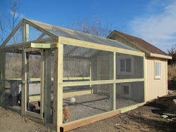 chicken coop run palace backyard bendickson door isn