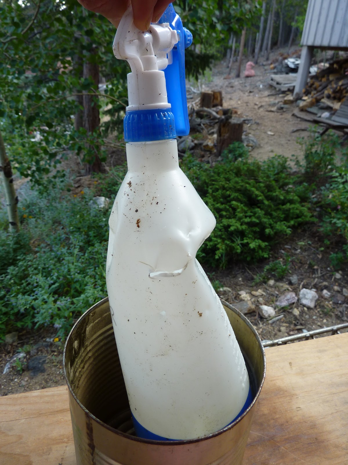 Colorado Mountain Gardener Bear Eats Repellent by Irene Shonle