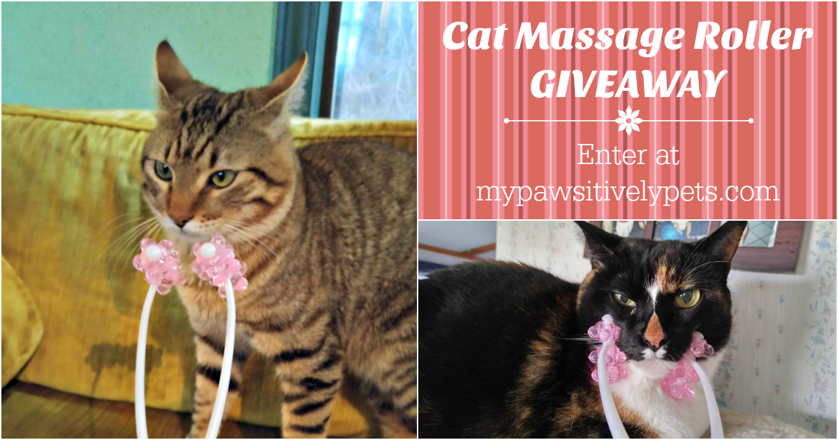 Relax With Your Cat Cat Massage Roller Giveaway Pawsitively Pets
