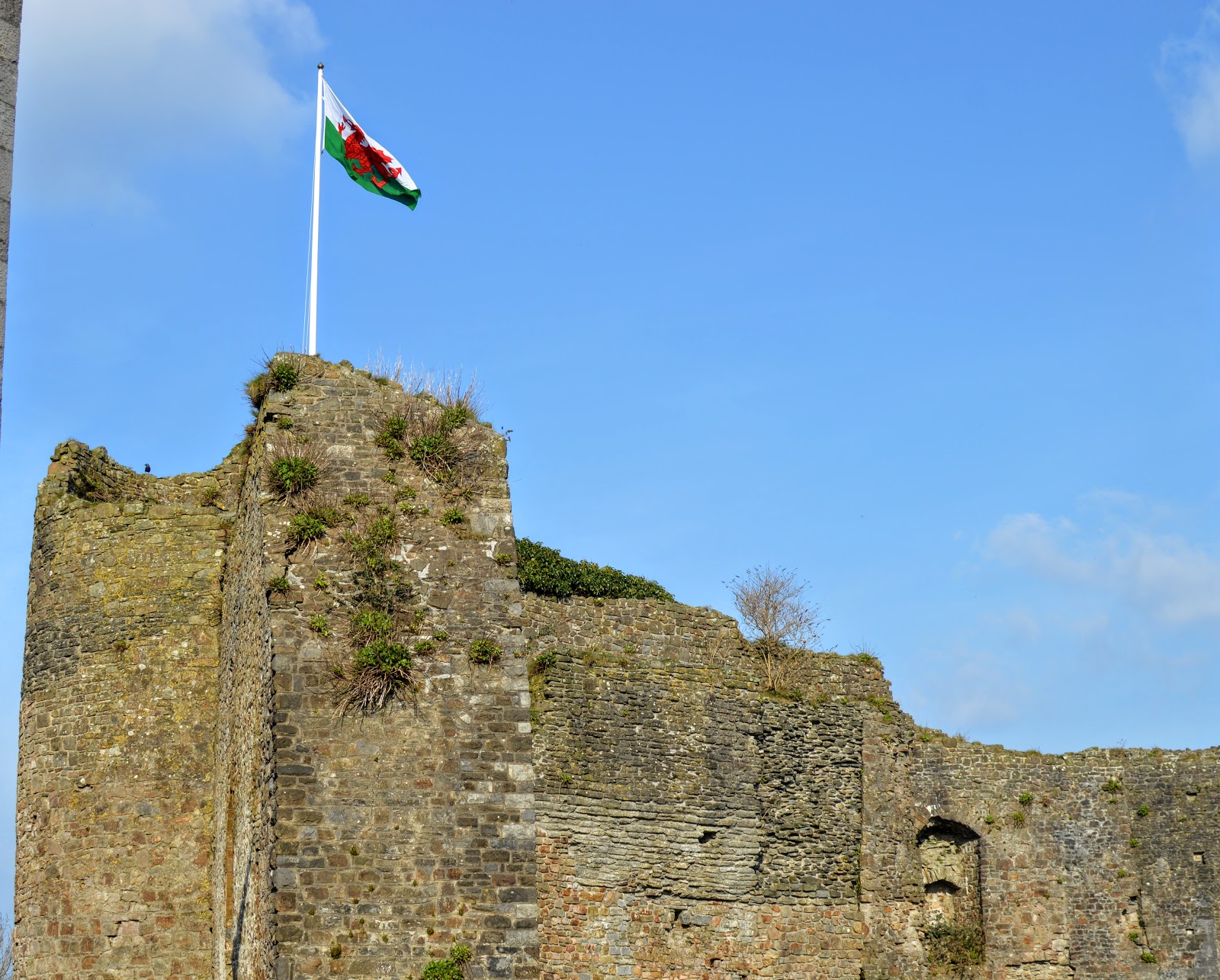 , Family Days Out / Haverfordwest County Town and Castle, Pembrokeshire