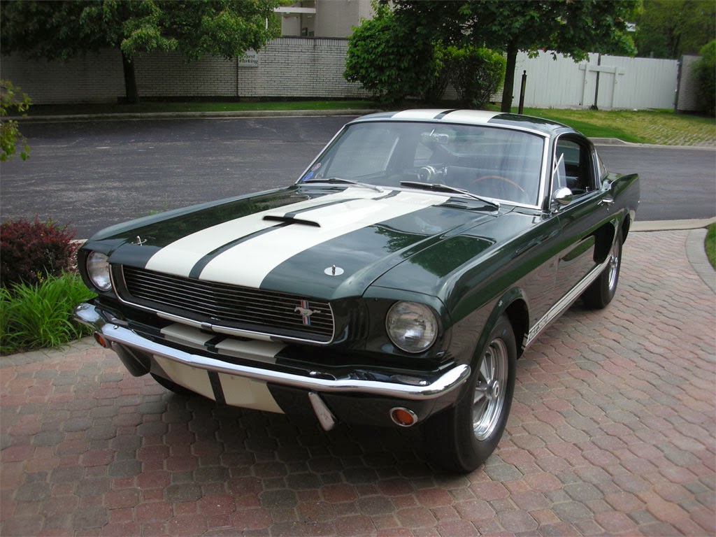 Mustaca Car Collection Virginia Classic Mustang Blog: Another Mustang Collection from a ...