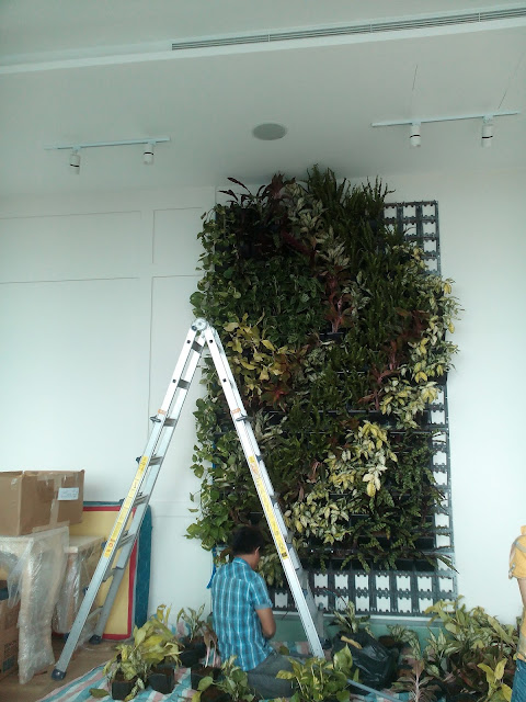 Đại lý cung cấp hộp trồng cây trên tường. - 6