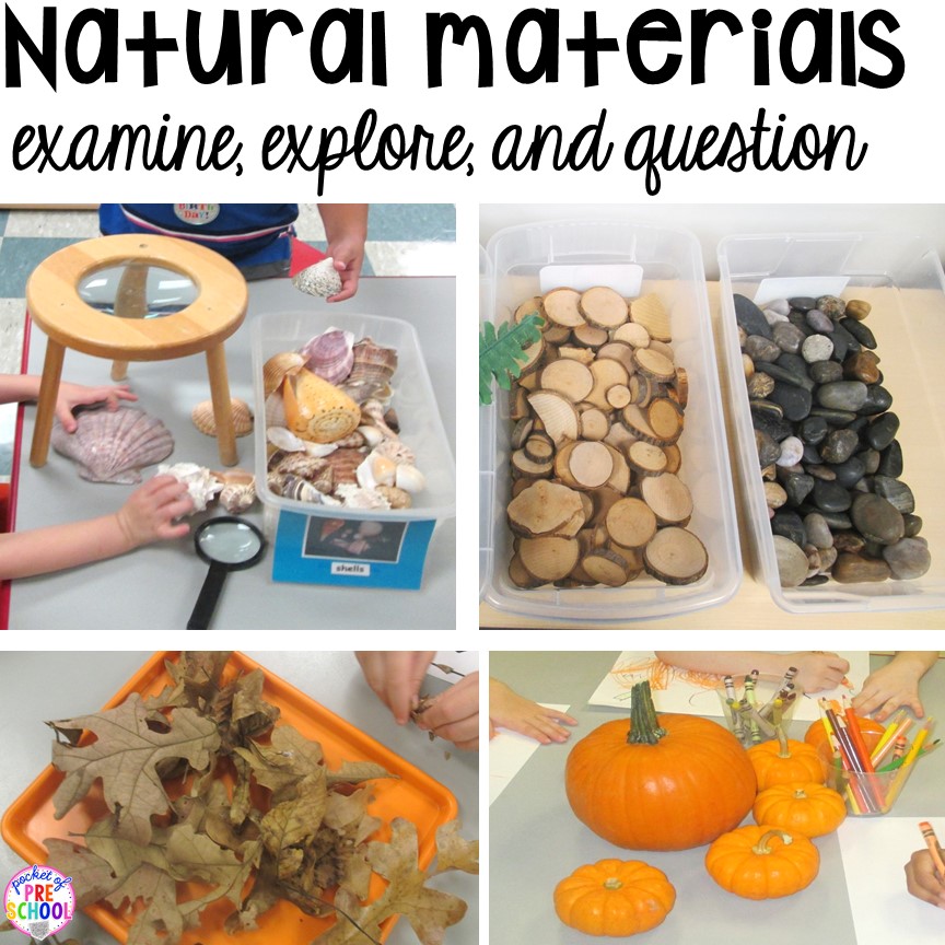 How to set up the Science Center in your Early Childhood Classroom