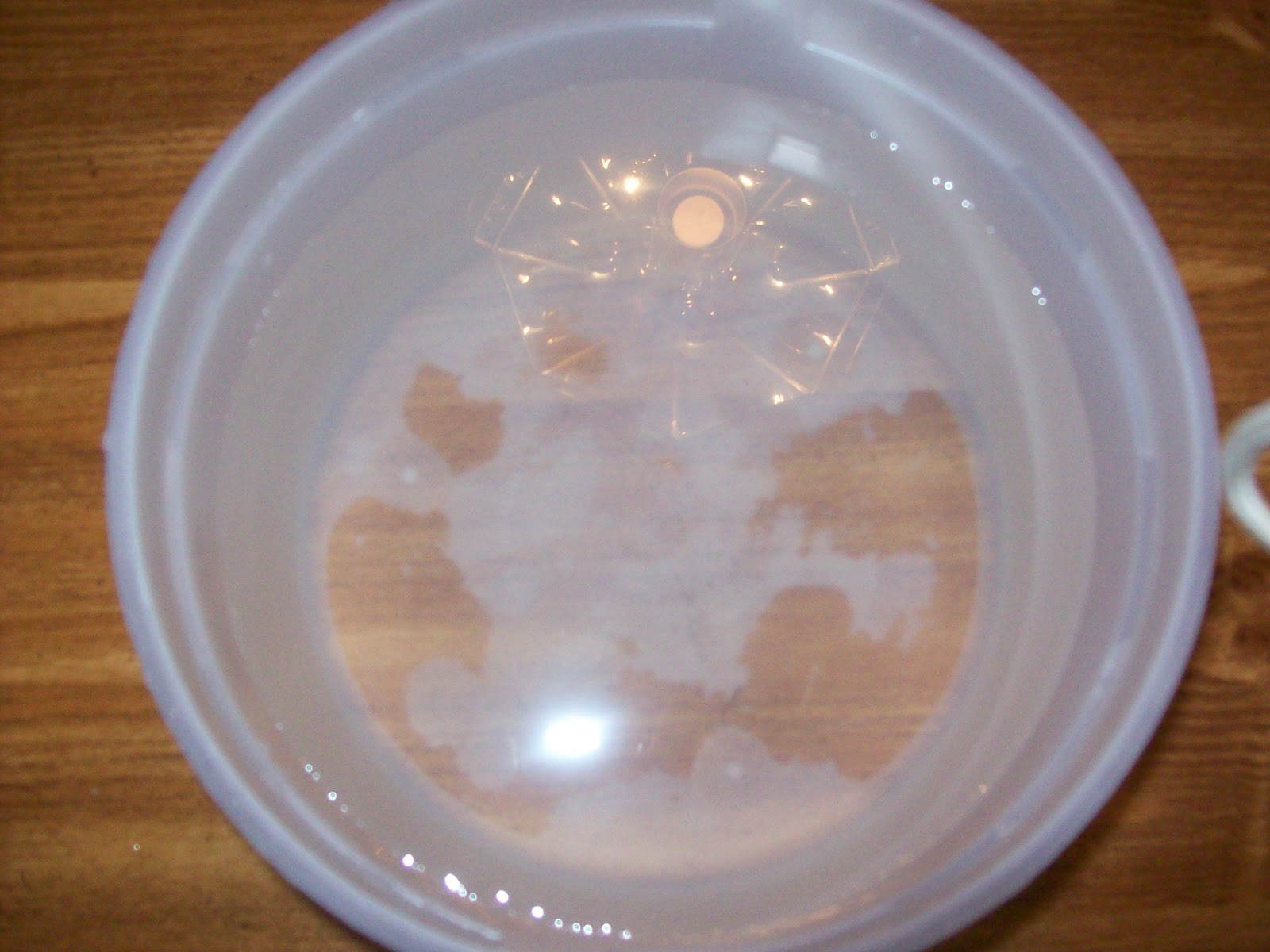 Yes, It's My Real Hair My Experience with Rainwater