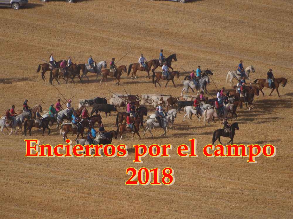 Blog de noticias FOTOS ENCIERROS POR EL CAMPO 2018