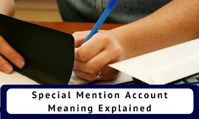 Special Mention Account: Meaning Explained