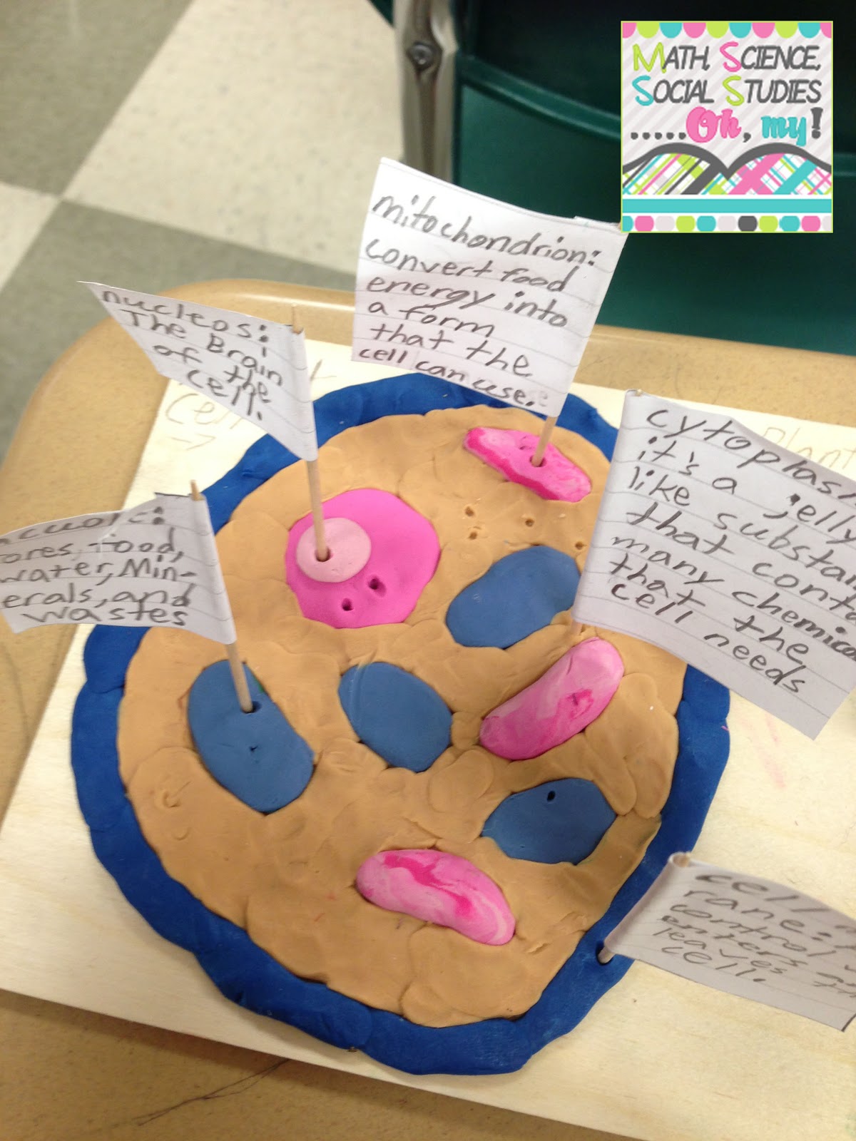 3D Cell Projects | Technically Speaking with Amy