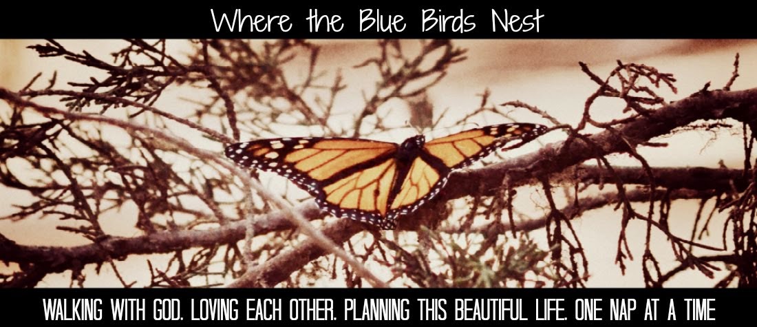 Where the Blue Birds Nest