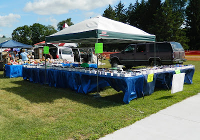 Sunglasses at Sumner Daze Festival