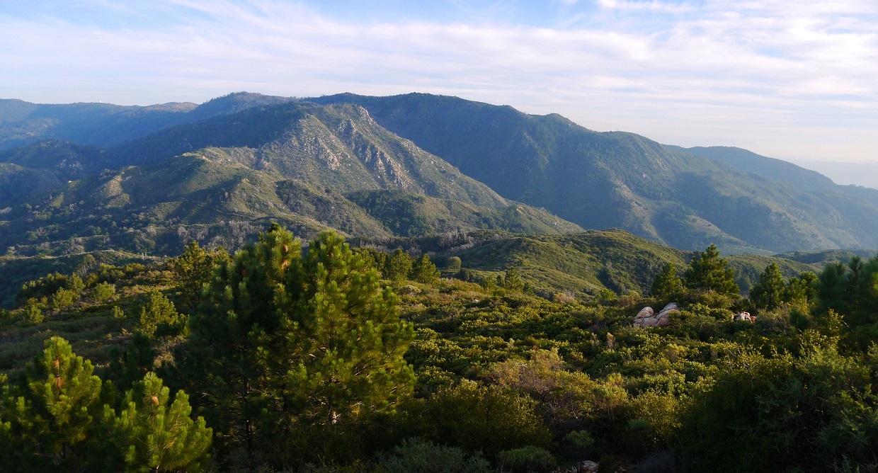 Peaks For Freaks: Wild Horse Peak, Agua Benchmark, Eagle Crag, Agua ...