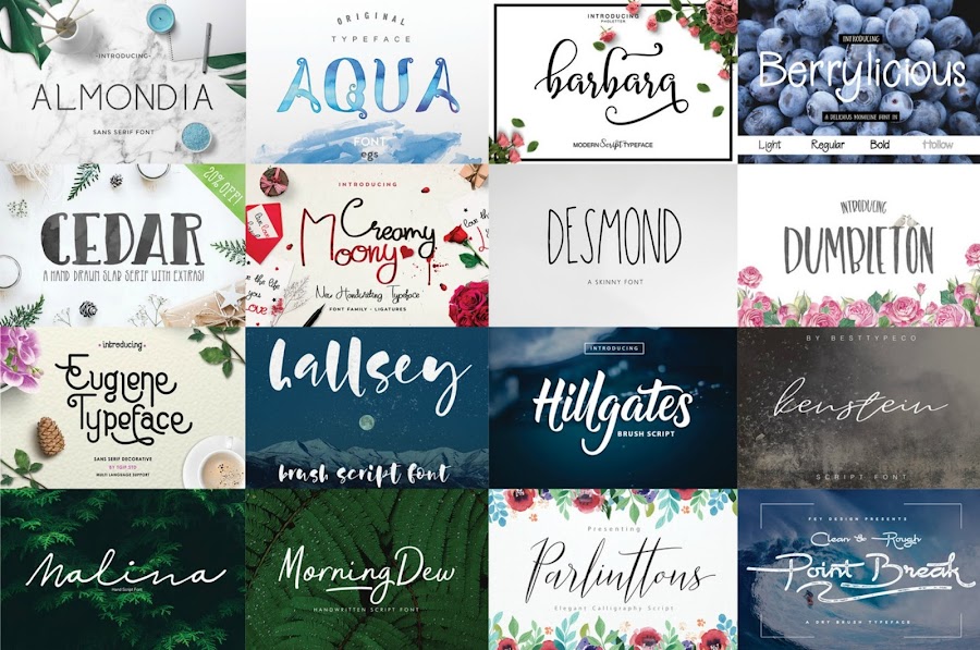 Fitness And Chicness-The Hungry JPEG-Free Font Bundle