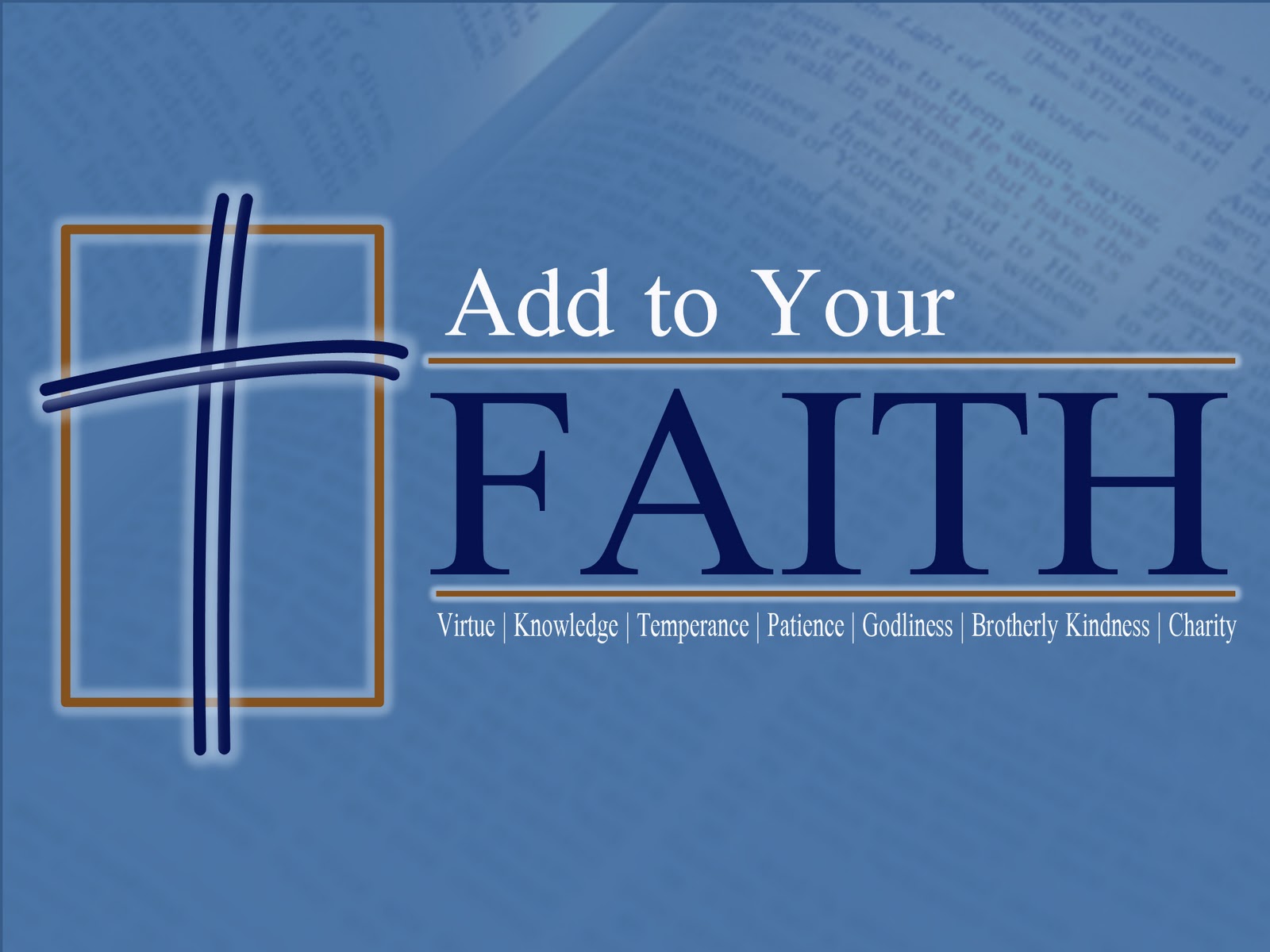 DAILY GRACE DAILY SUPPLEMENT