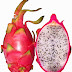 Benefits of dragon fruit and dragon fruit for beauty