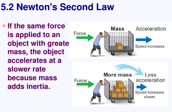 Newton’s Laws: Force and Motion