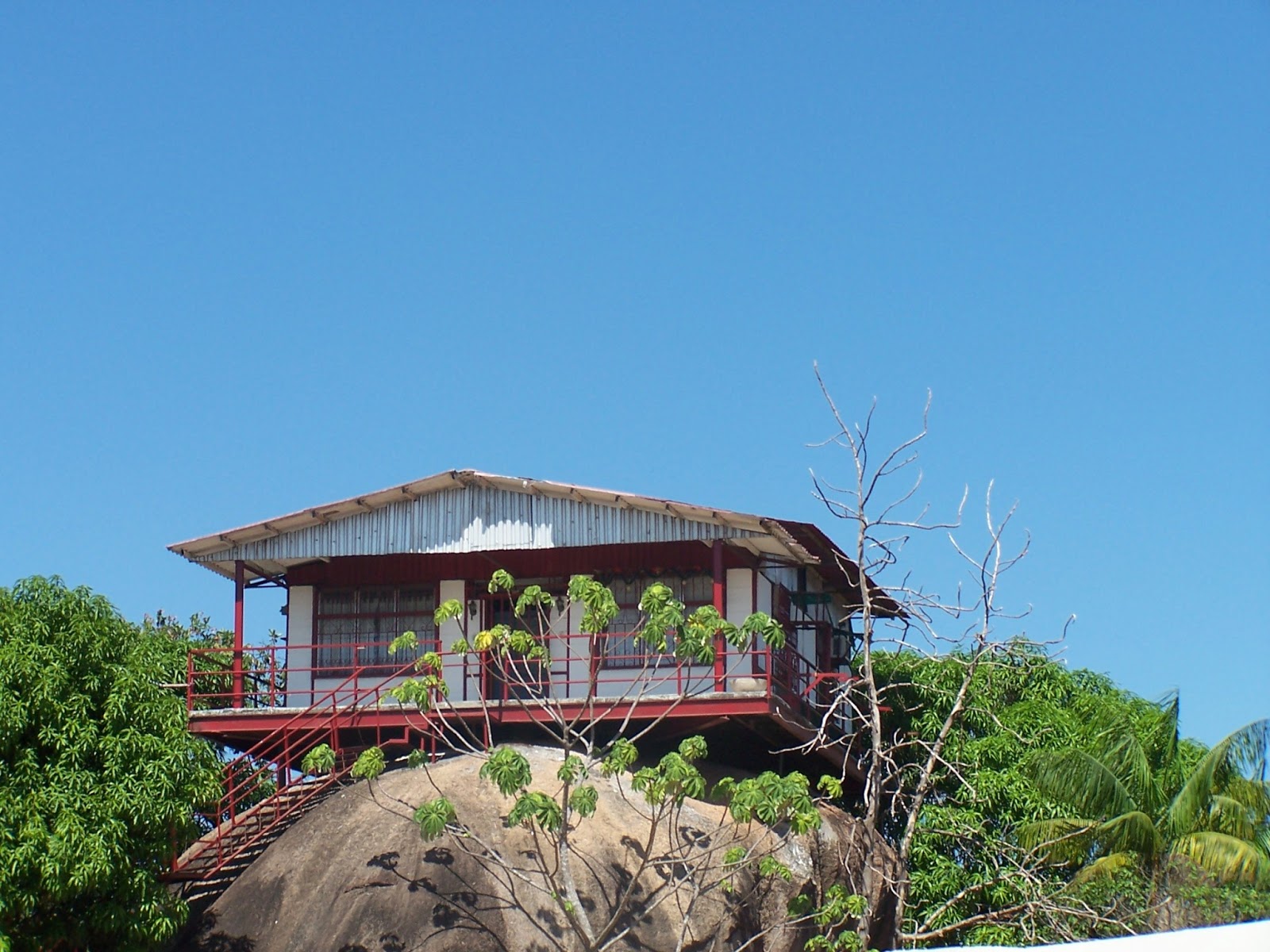 Los Viajes de Montenegro Puerto Ayacucho Magia en el Amazonas