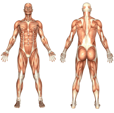 Perubatan Tradisional Hiv - Contoh Moo