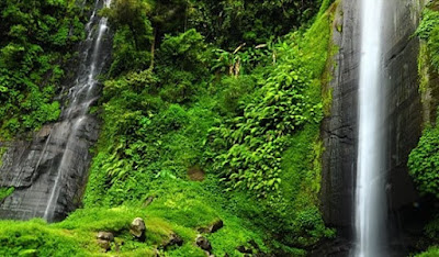 Tacak Kembar ( tempat wisata di bondowoso ) Tacak Kembar ( tempat wisata di bondowoso )