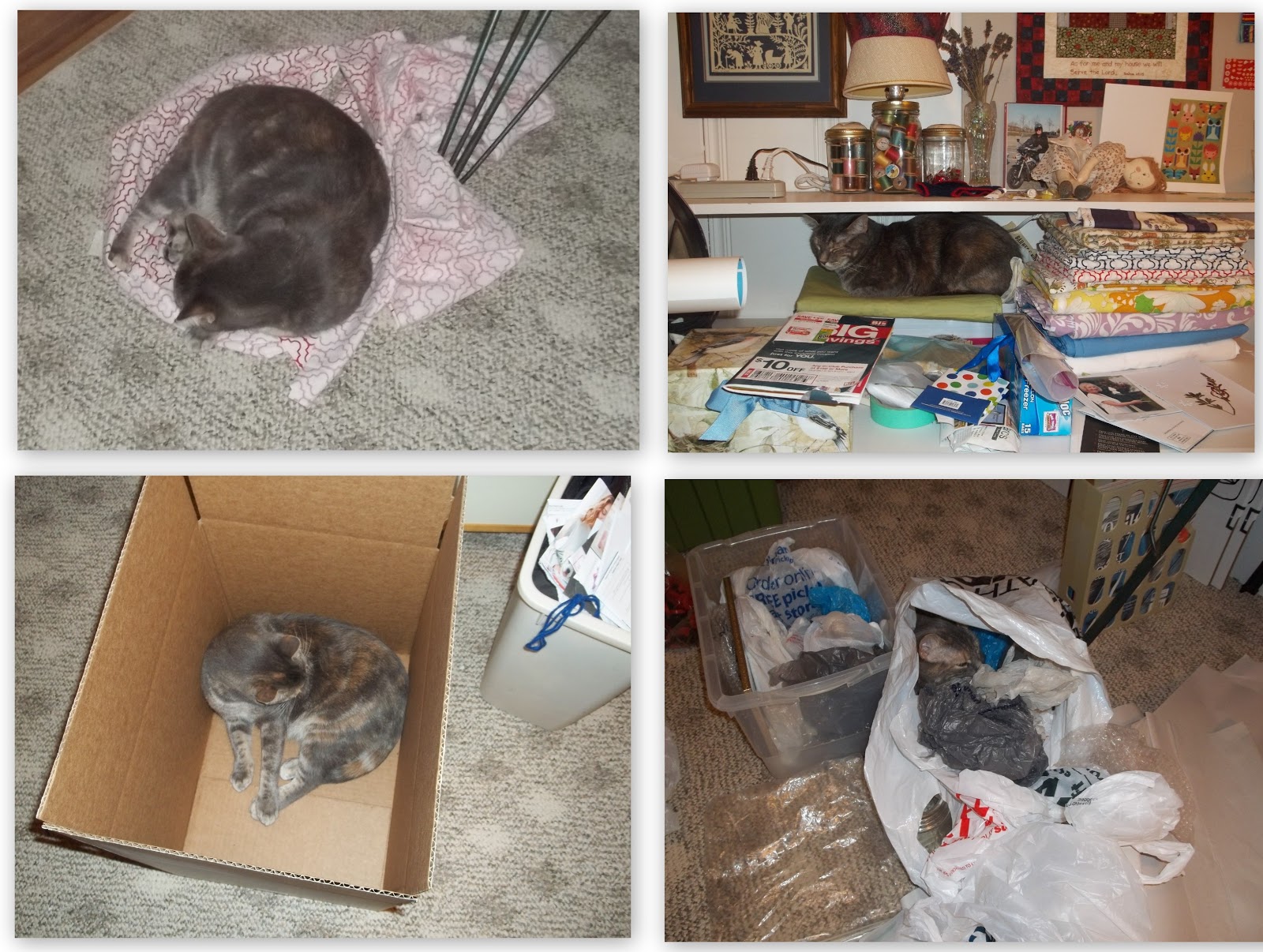 My Cat Keeps Going To His Litter Box My Cat Keeps Going To His Litter Box