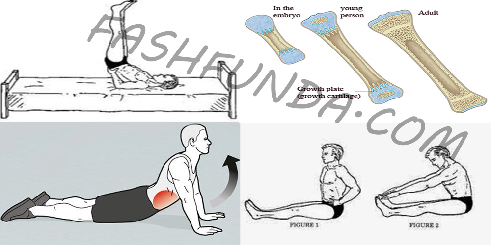 Best Stretching Exercises for Height Increase Naturally Life With Styles