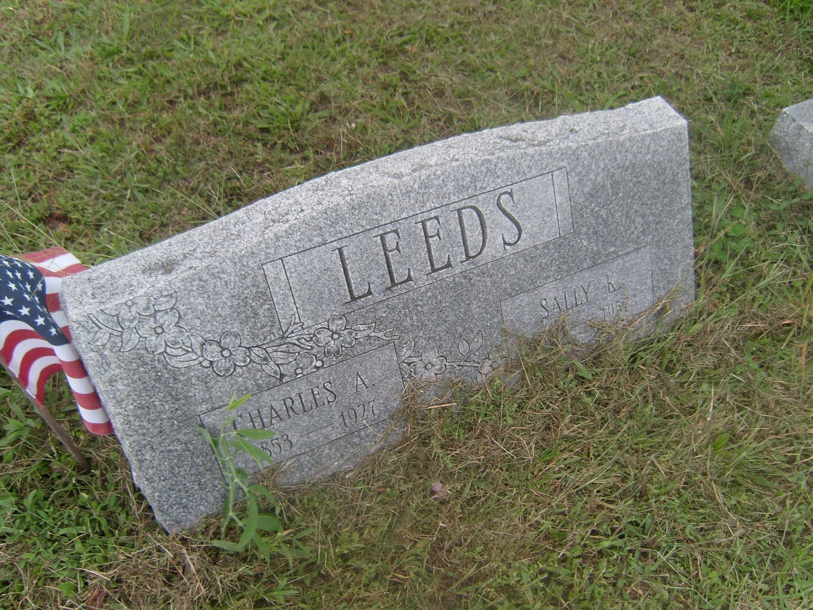 Abandoned, Roadside and Historic Jersey Devil Possible Parents and