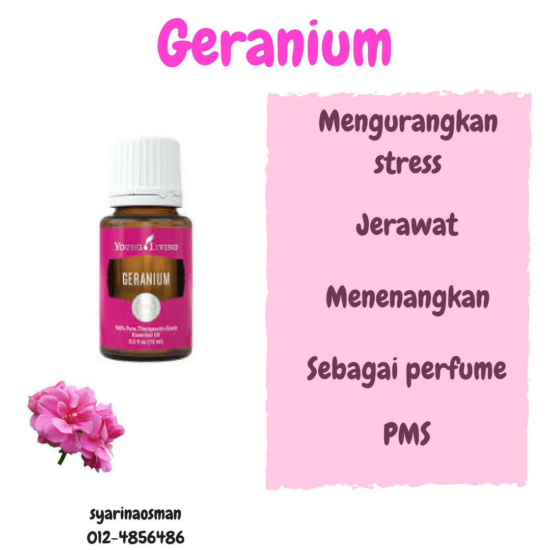 ! Minyak by SO ! Manfaat essential oil geranium