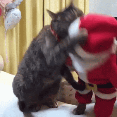 n3OpT3Z.gif