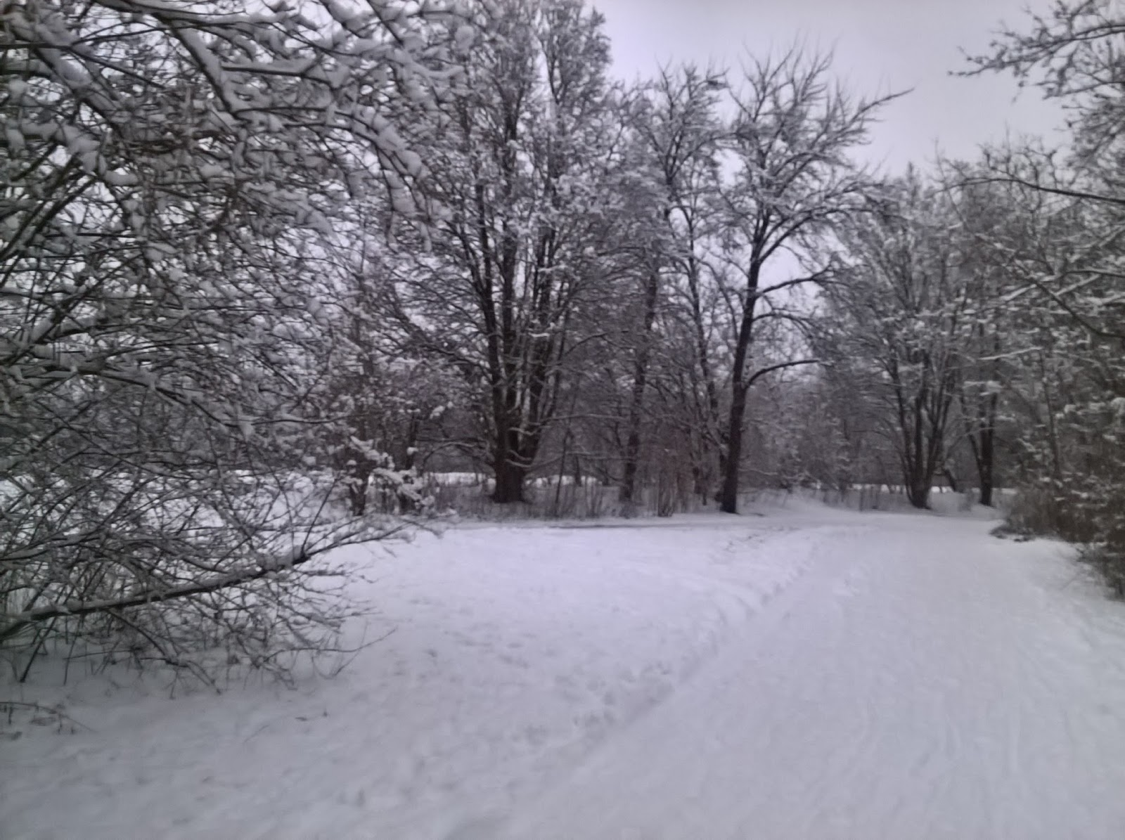 Hauptschulblues Februar 2018