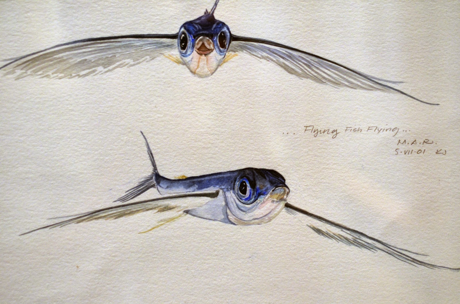 Virginia Fishes: Deep Sea Fishes and Inverts: A Look Into 