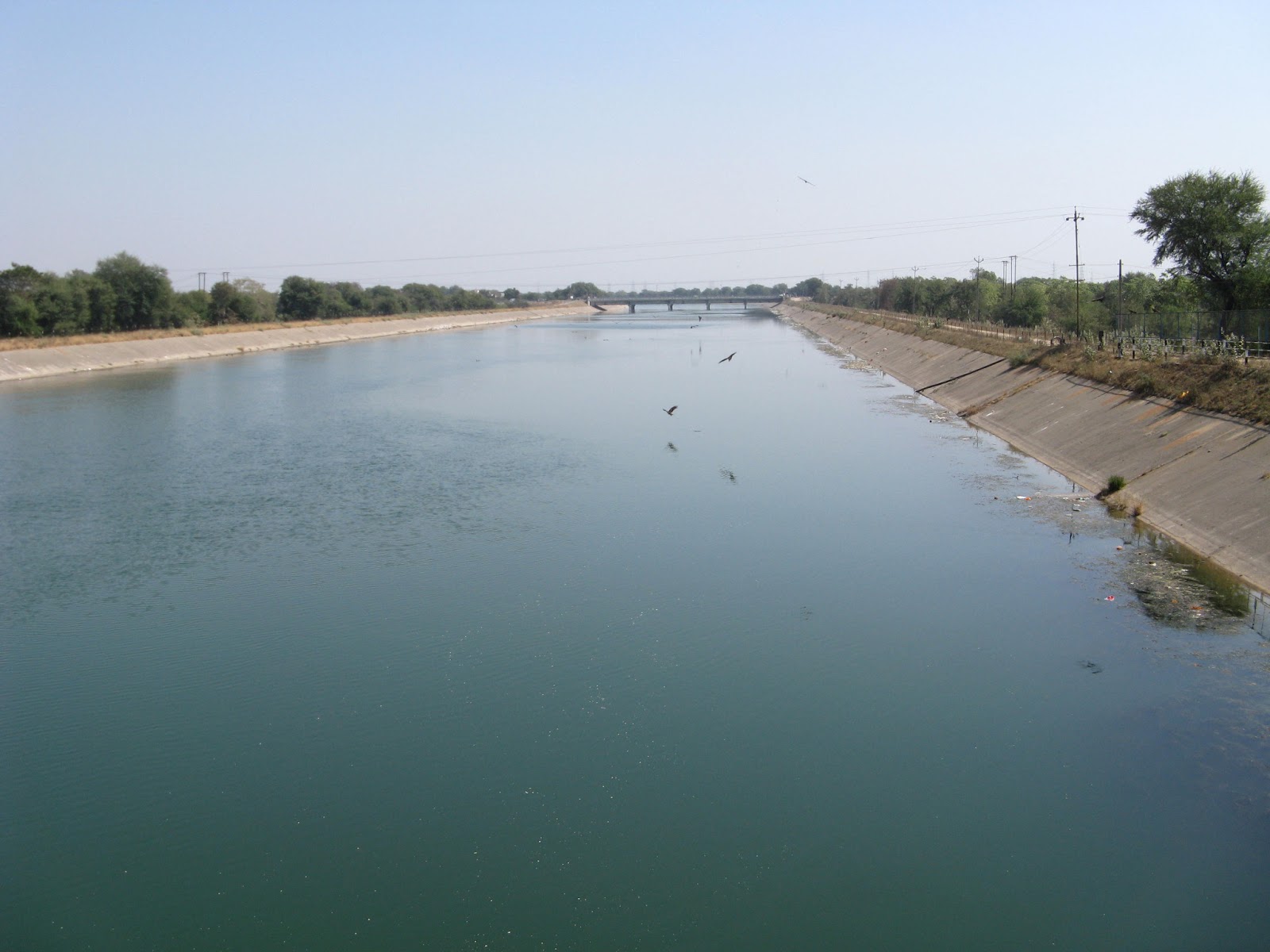 support 4 suicide farmers families IRRIGATION CANALS GUJARAT Vs