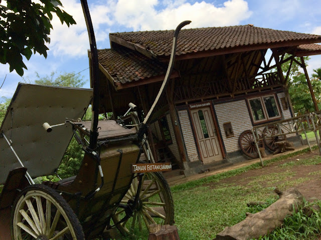 Ines Yuanta Blog >> Pondok baca di Taman Botani Sukorambi Pondok Baca Taman Botani Sukorambi plus delman sebagai salah satu spot foto