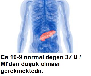psikolojik mide bulantisi tedavisi