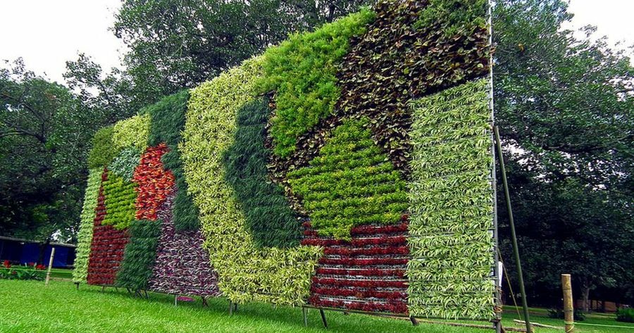 Nuestro Jardín y Huerto Escolar: JARDINES VERTICALES