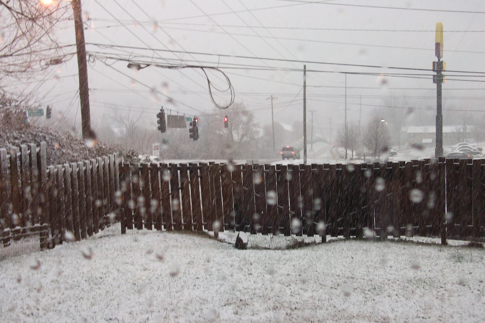 A Road Less Traveled It Snowed in Knoxville