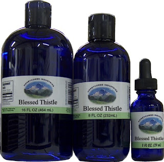 blessed-thistle.jpg blessed-thistle.jpg