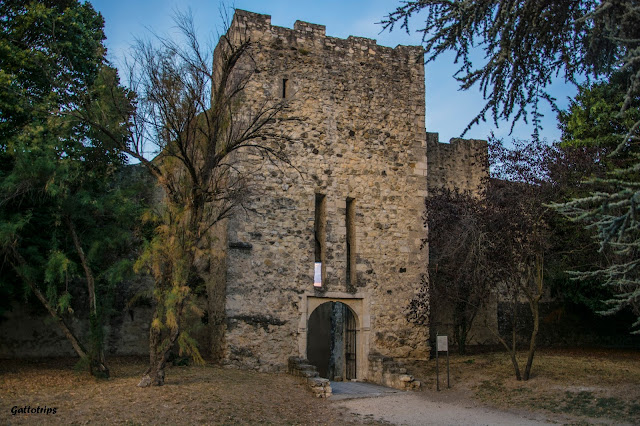 Valle de Aosta - Gatti Valdostani - Blogs de Italia - Un día en la Provenza (4)