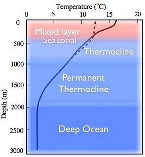 ocean water temperature sea phytoplankton thermocline mid profile global latitudes profiles fig