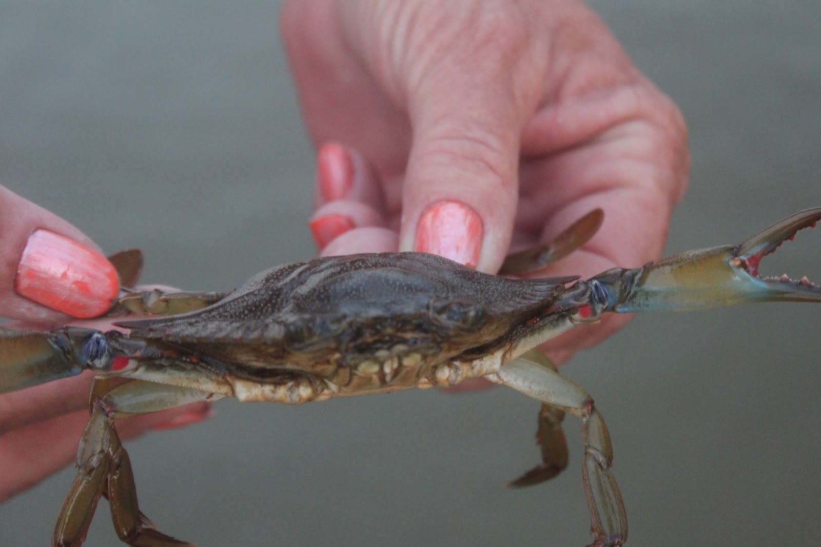 Russman's spot Chesapeake Beach, Maryland