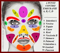 volto-segni-organi darospoaprincipe