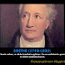 Frase con Foto ( Goethe )