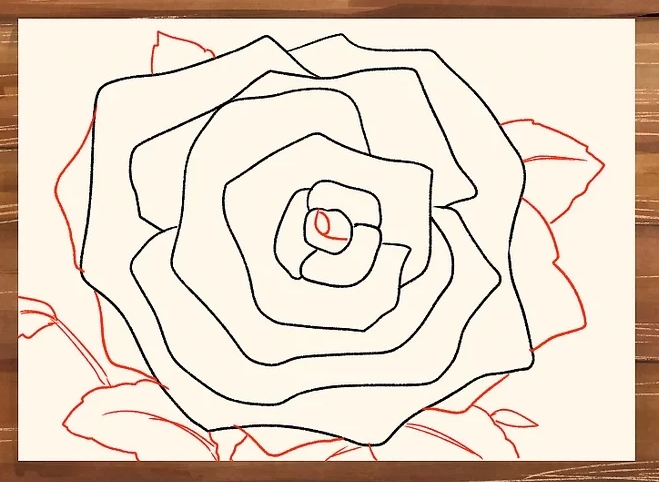  Gambar Menggambar Bunga Mawar Menggunakan Pensil Pemula 