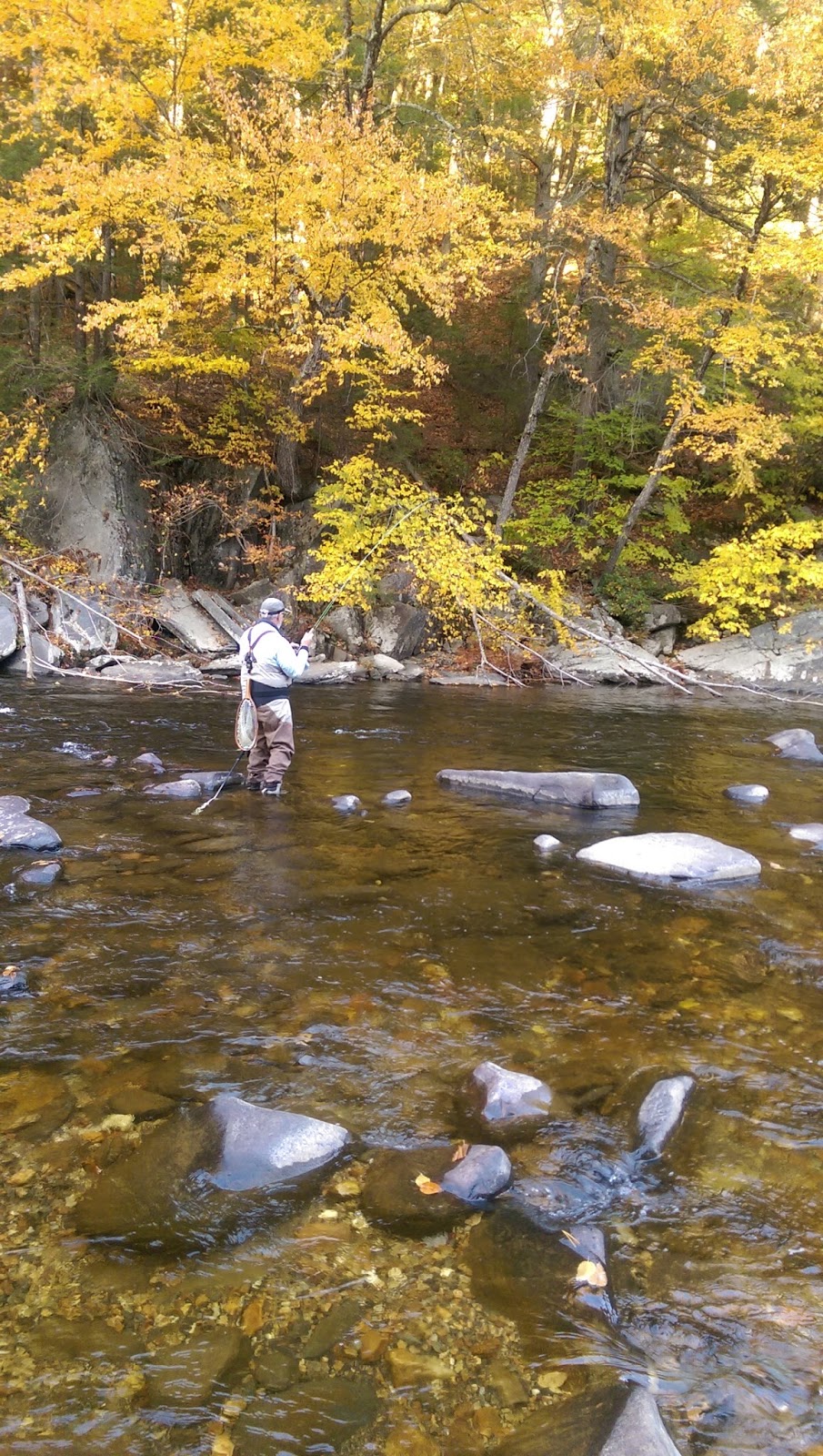 to the Millers River Fly Fishing Forum The Three Phases Of