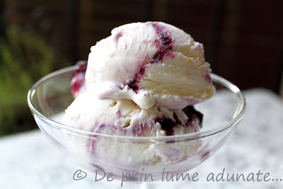 Inghetata de cheesecake cu afine/ Blueberry Cheesecake Ice Cream