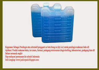 Ice Pack Ice Pack dari Maidaniipancakedurian.com